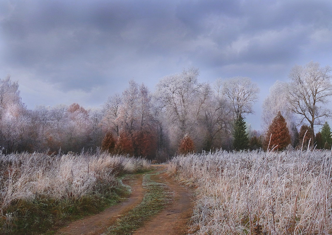 Осенняя дорога - Oleg S 