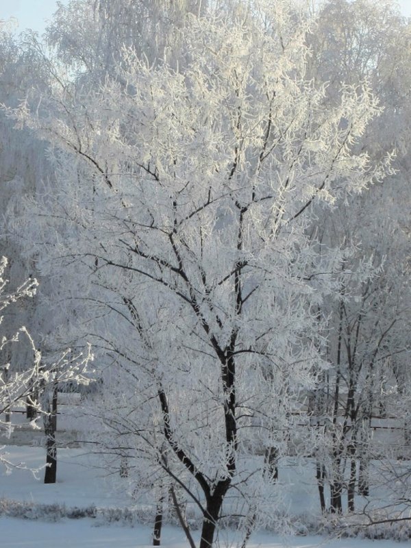 зимние зарисовки - Горкун Ольга Николаевна 