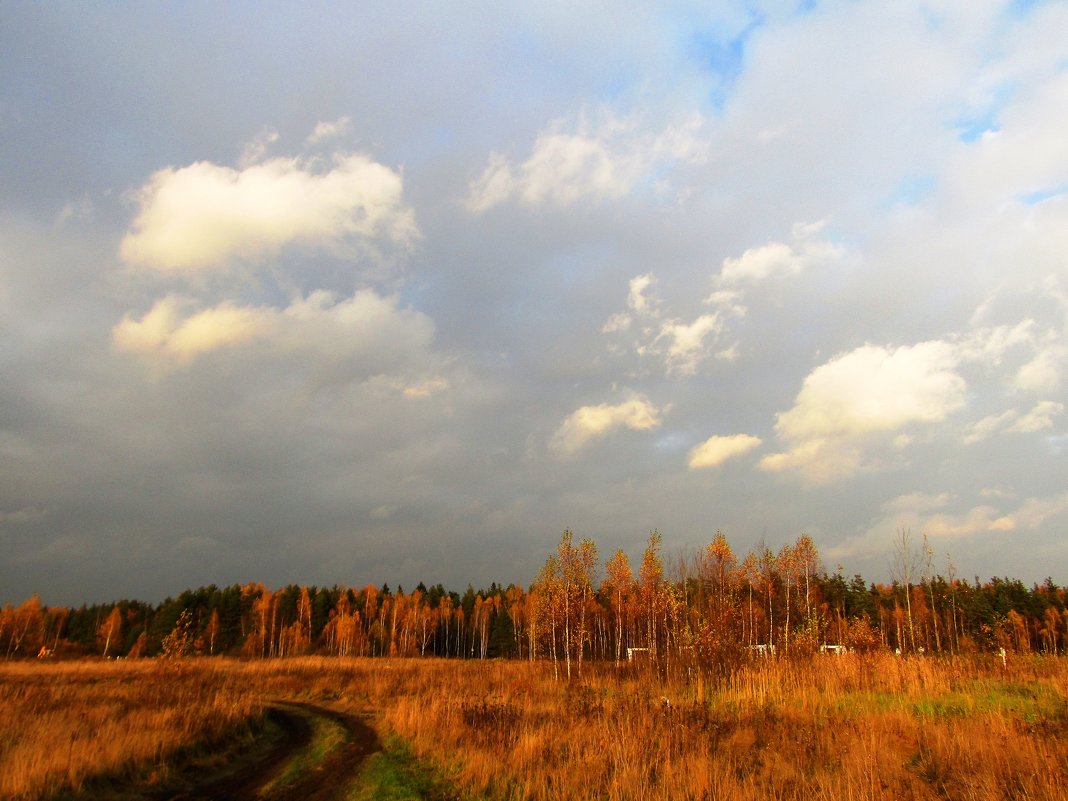 Осеннее небо - Андрей Снегерёв