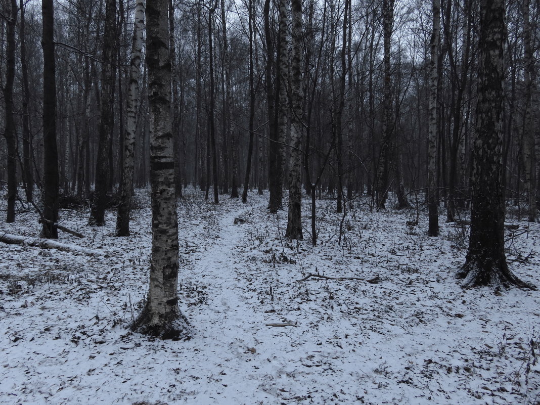 Почти зима - Андрей Лукьянов