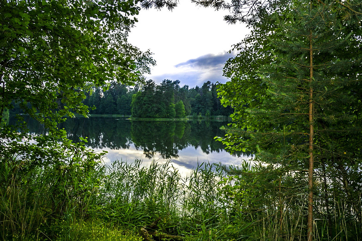 Лесное озеро - Мария Богуславская