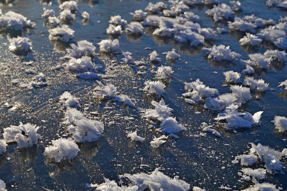 Снежные узоры на реке Чарыш - Кристина Воробьева