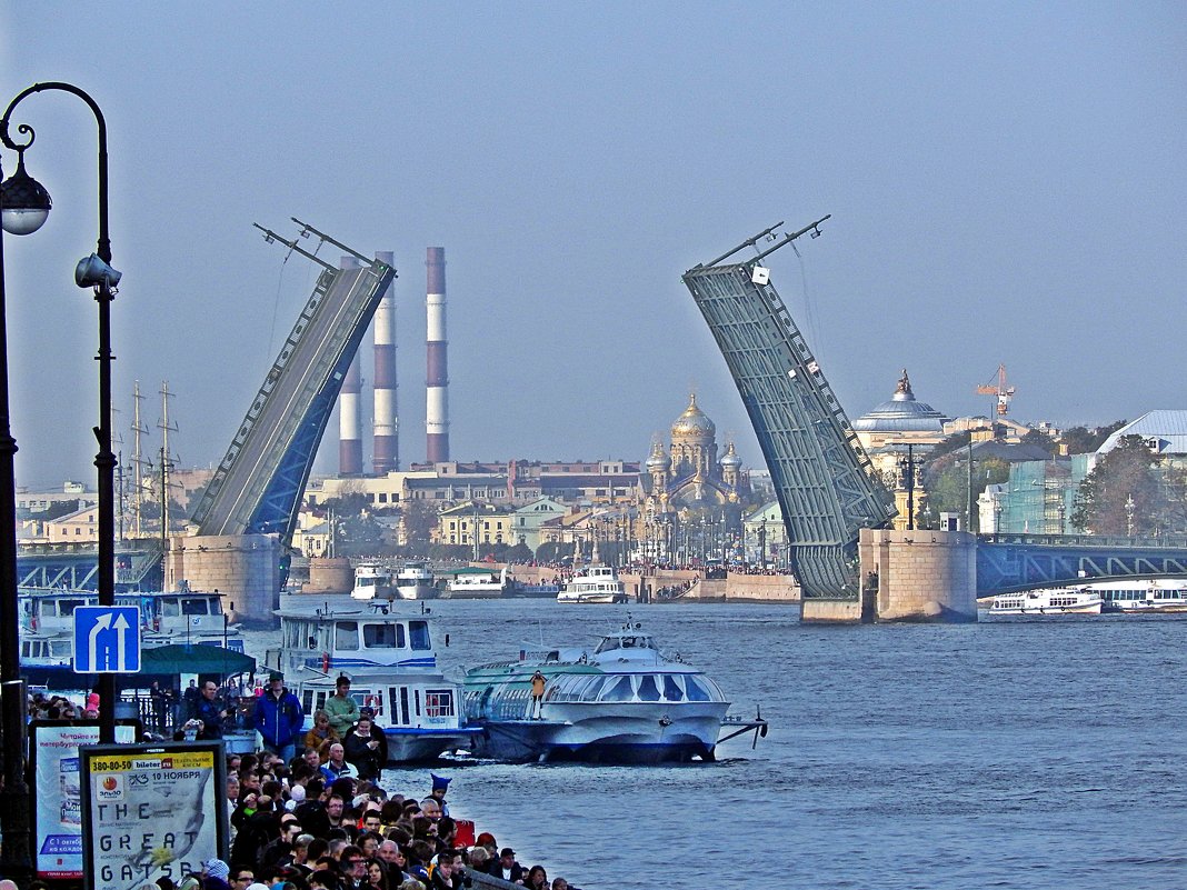 Разведенный Дворцовый мост. - Виктор Егорович