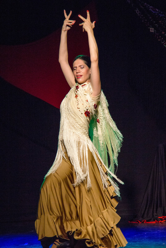 Flamenco - Дима Щетинин