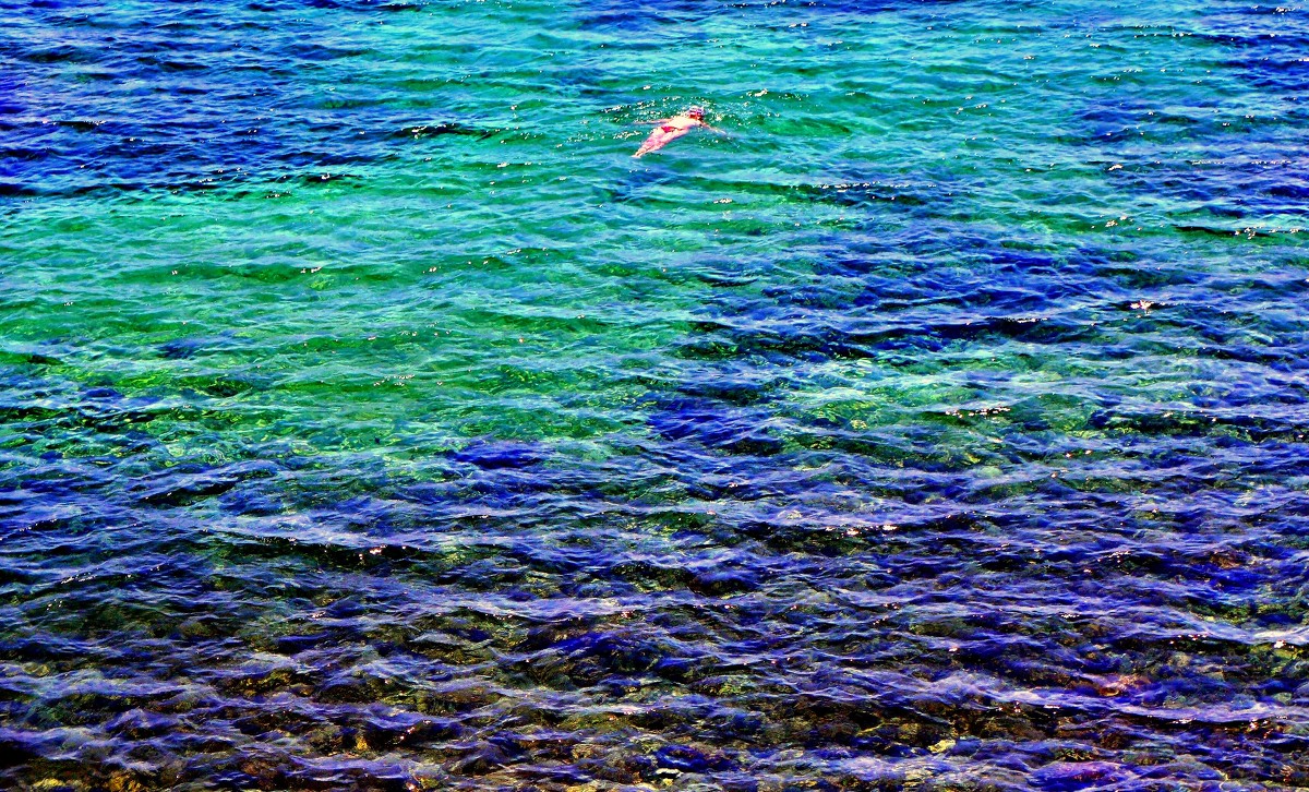 Одиночное плавание - михаил кибирев