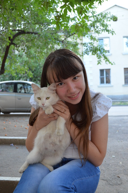 Кошка Татошка - Сибирский Кот