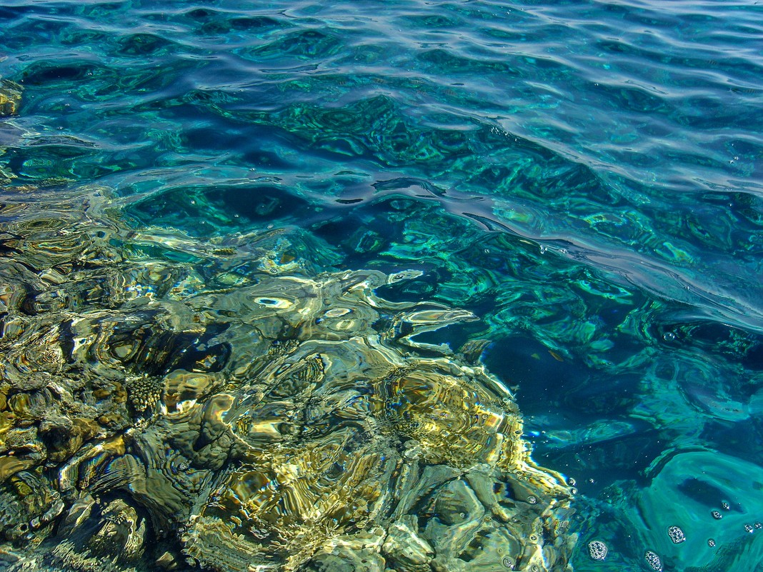 Краски Красного моря - Ирина Приходько