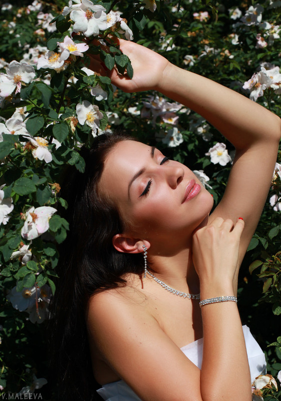В розовом саду - Виктория Малеева