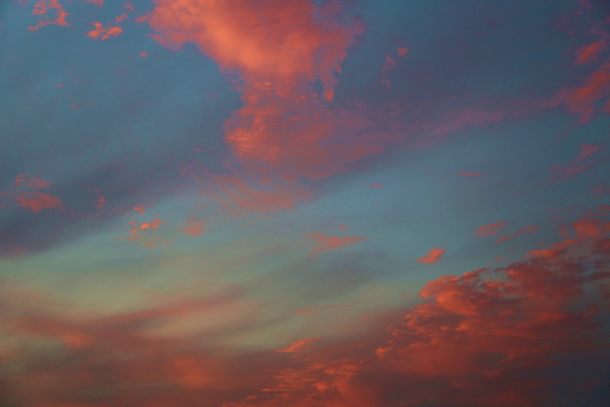 Вечерние краски Питерского неба - Елена Разумилова