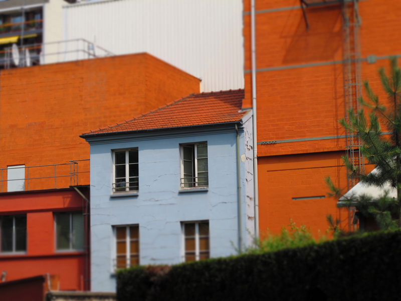 Цвет в Парижских домов - baba-yaga-paris Наталья Кр.