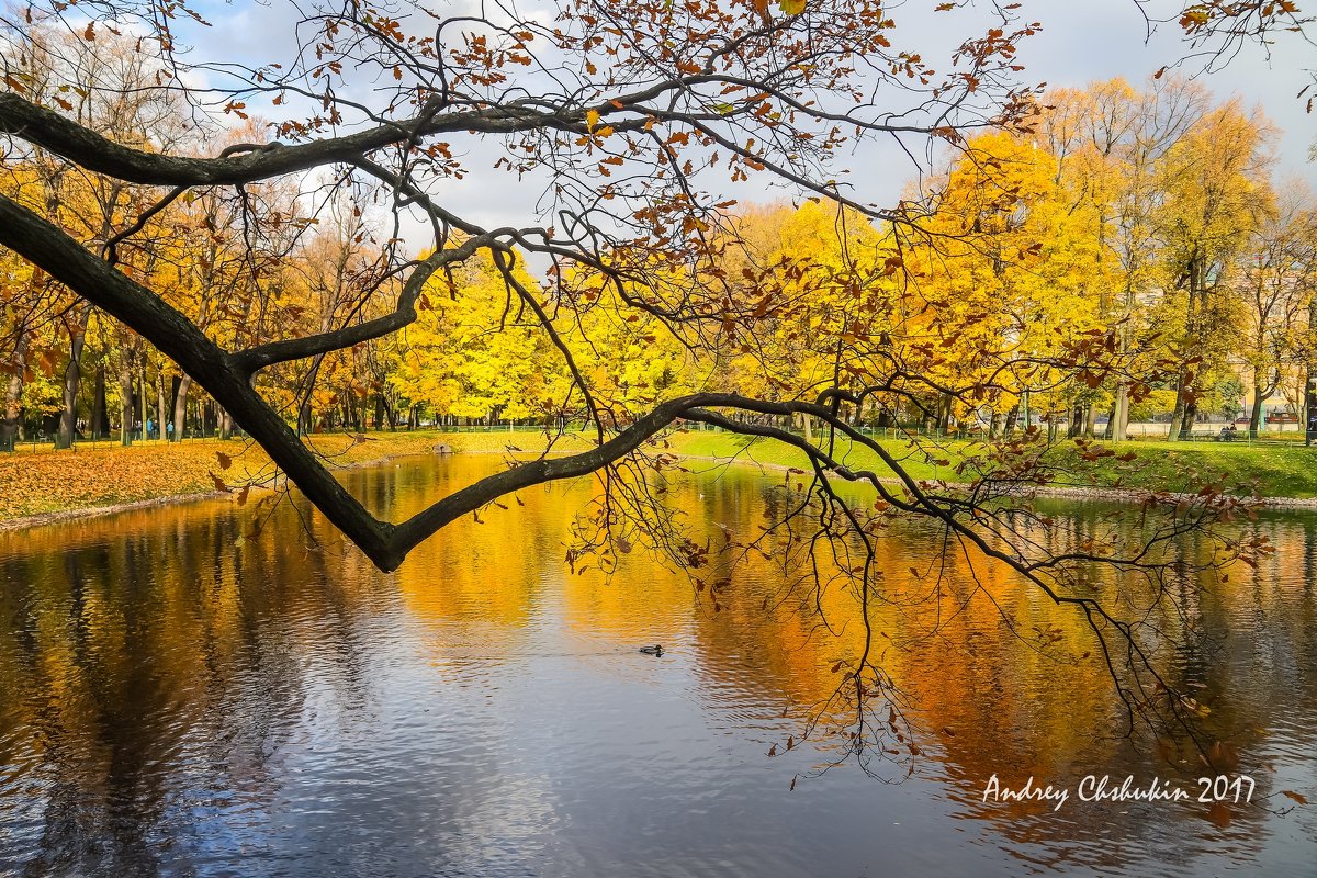 Осень в Питере - Андрей Щукин