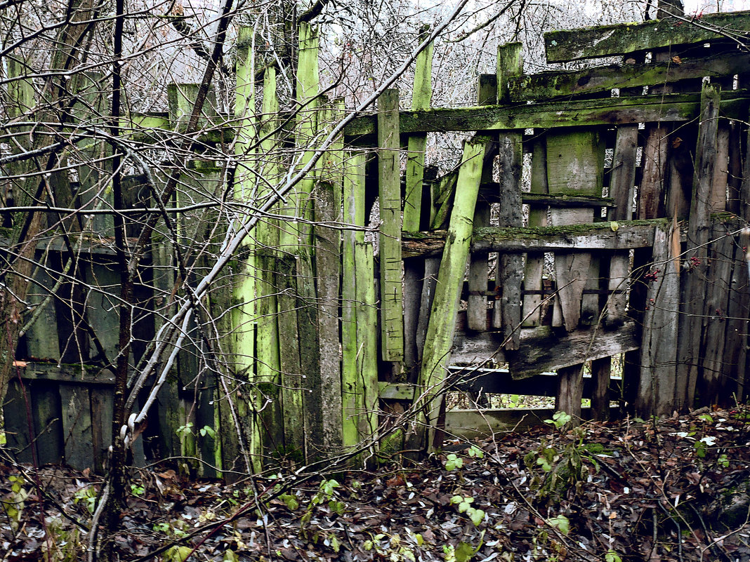 Старый забор - Денис Масленников