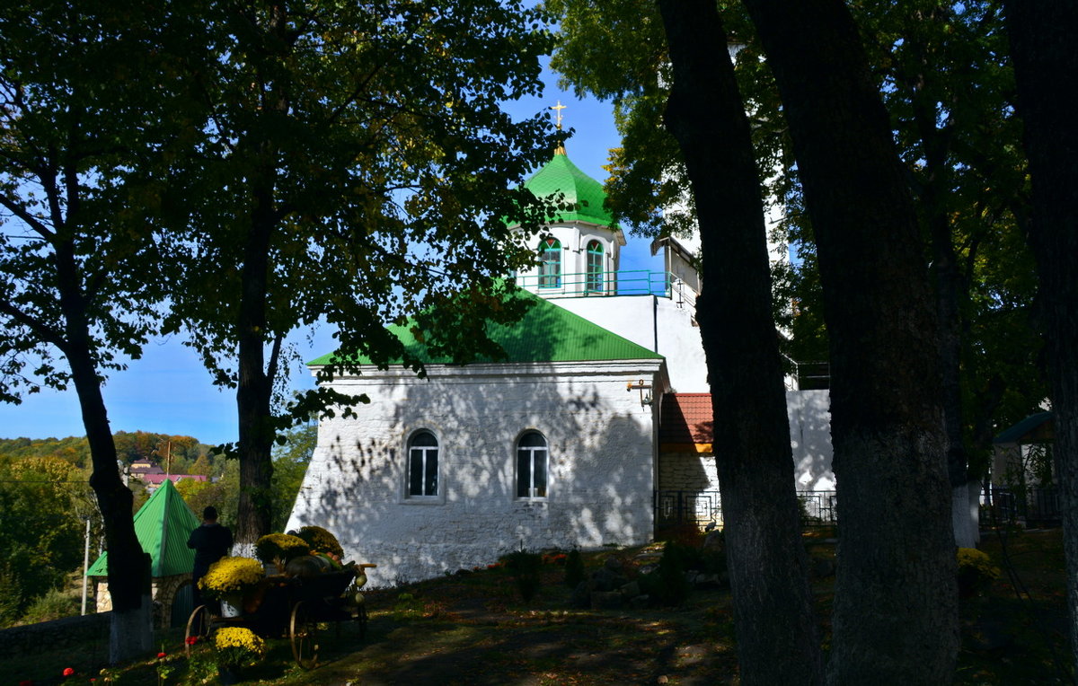 Благодатное место - Петр Заровнев