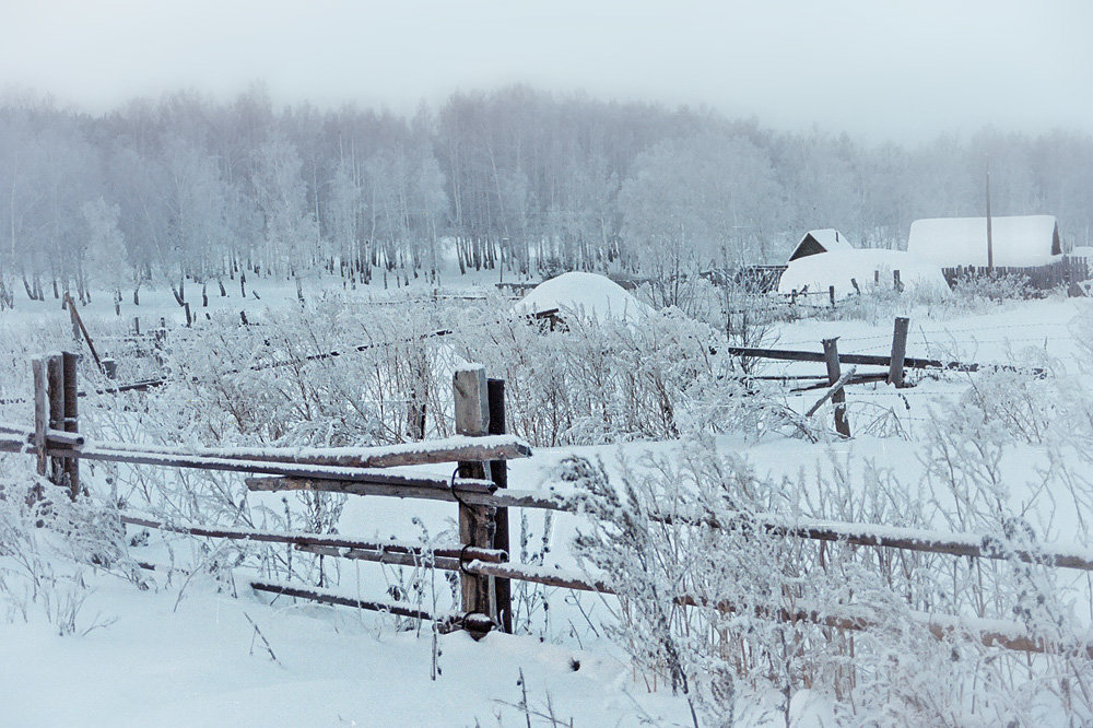 Зима нарисовала картину, а я её сфотографировала - Галина Ильясова