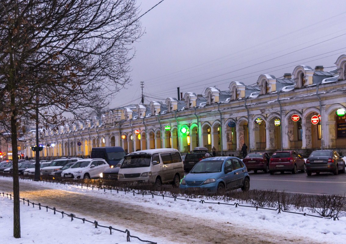 Пушкинский Гостиный двор, уменьшенная копия Питерского. - Александр Петров