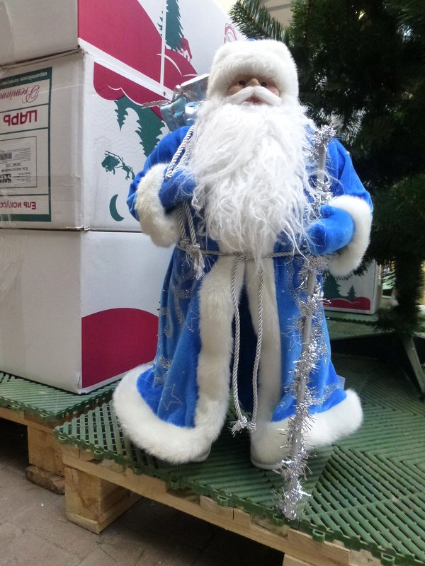 Дед Мороз - Наиля 