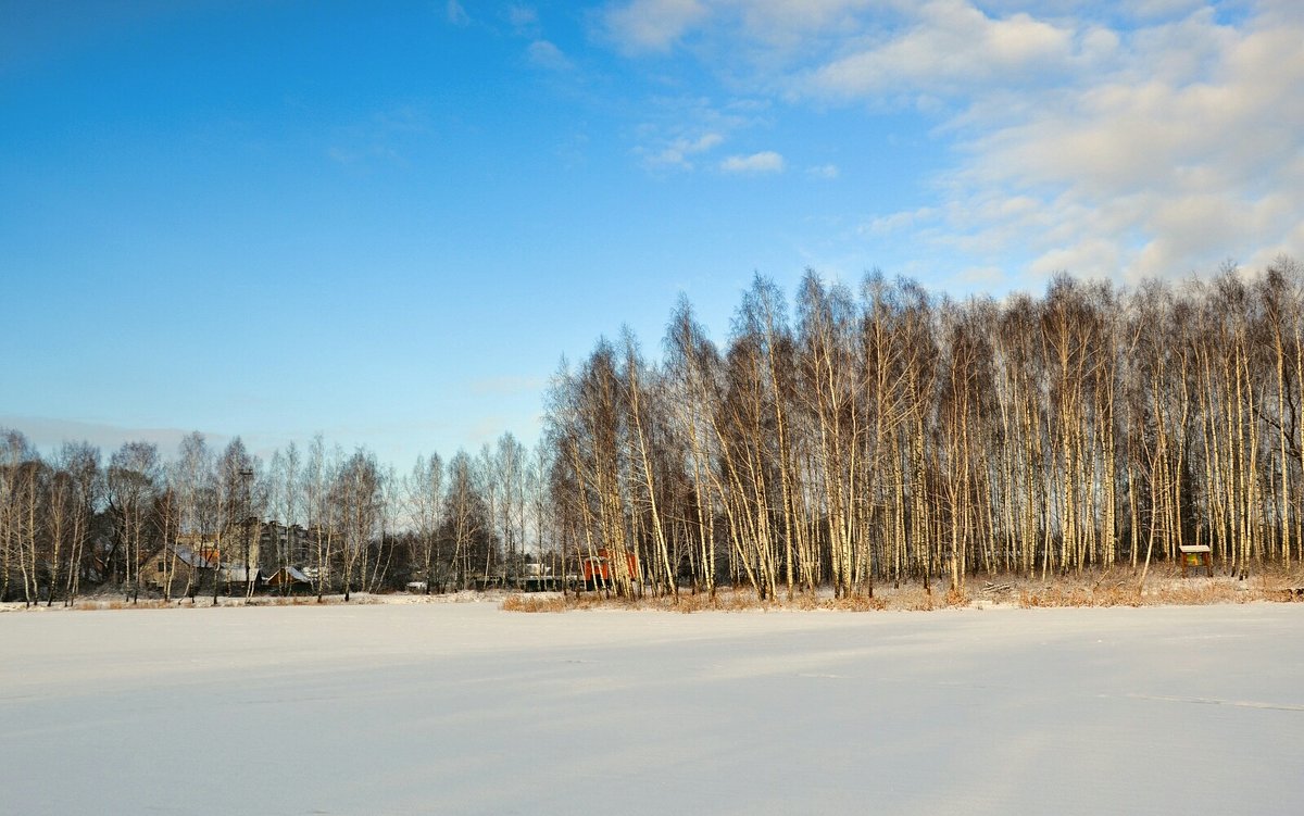 Зимняя картинка - Милешкин Владимир Алексеевич 