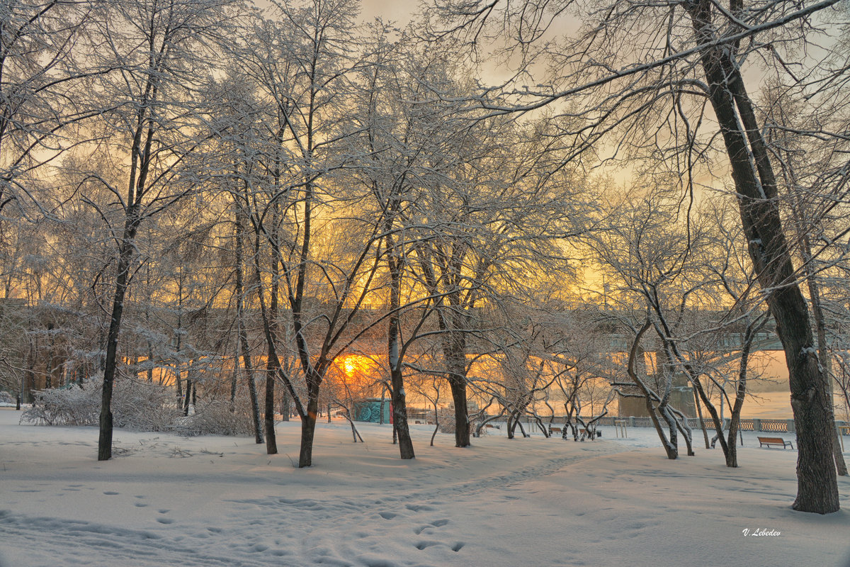 краски зимнего утра - cfysx 
