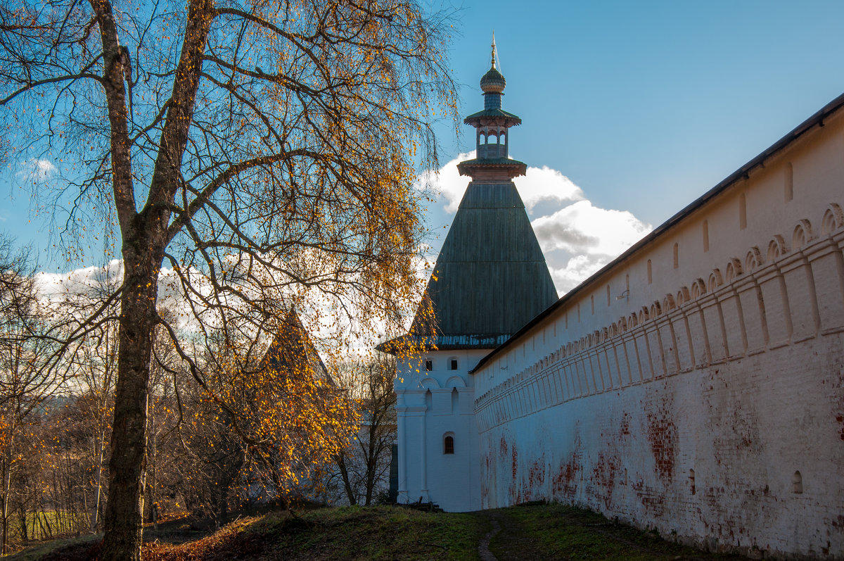 У монастырских стен - Alexander Petrukhin 