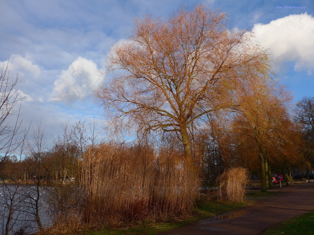 Hamburg.  Aussenmühlenteich - Nina Yudicheva