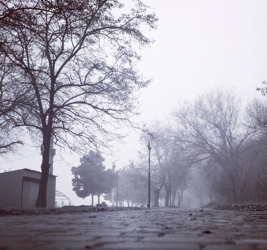 туман - Александр Довгий