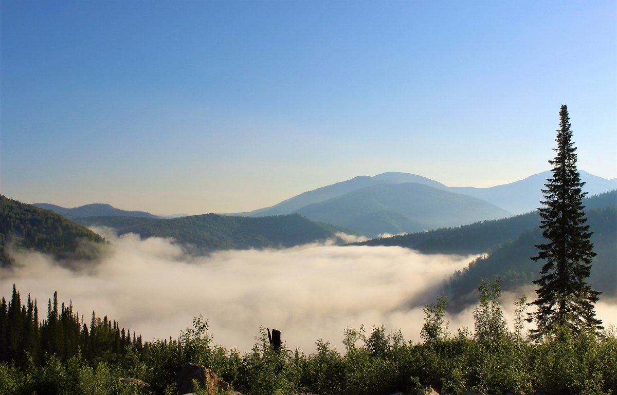 Густой туман скрывает долину - Сергей Чиняев 