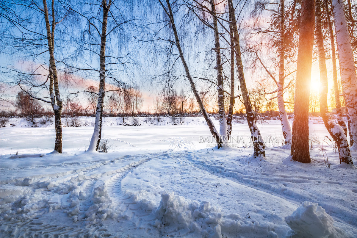 Зимний сон деревьев - Юлия Батурина
