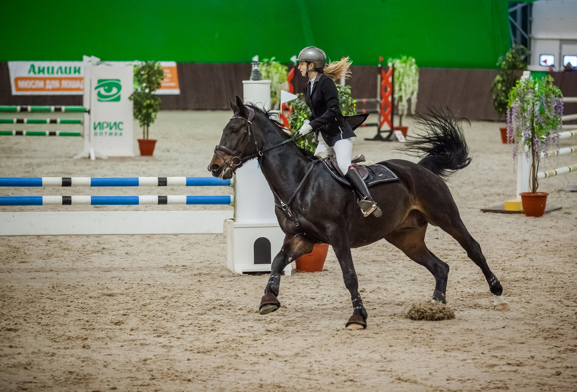 Зимний чемпионат Таганрога по конкуру - Андрей Lyz