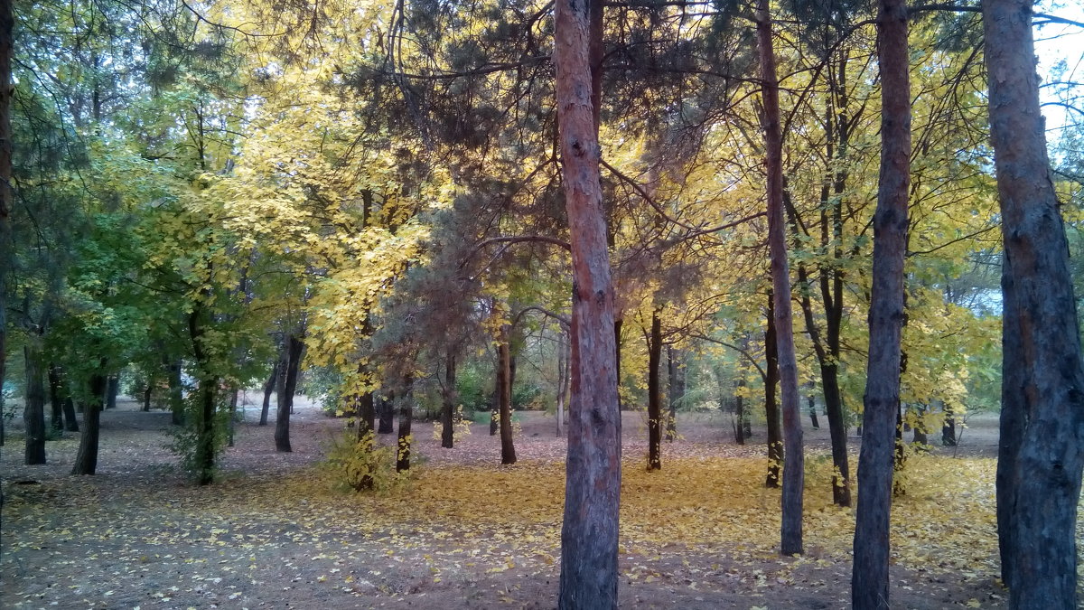 После жаркого лета - Ольга 