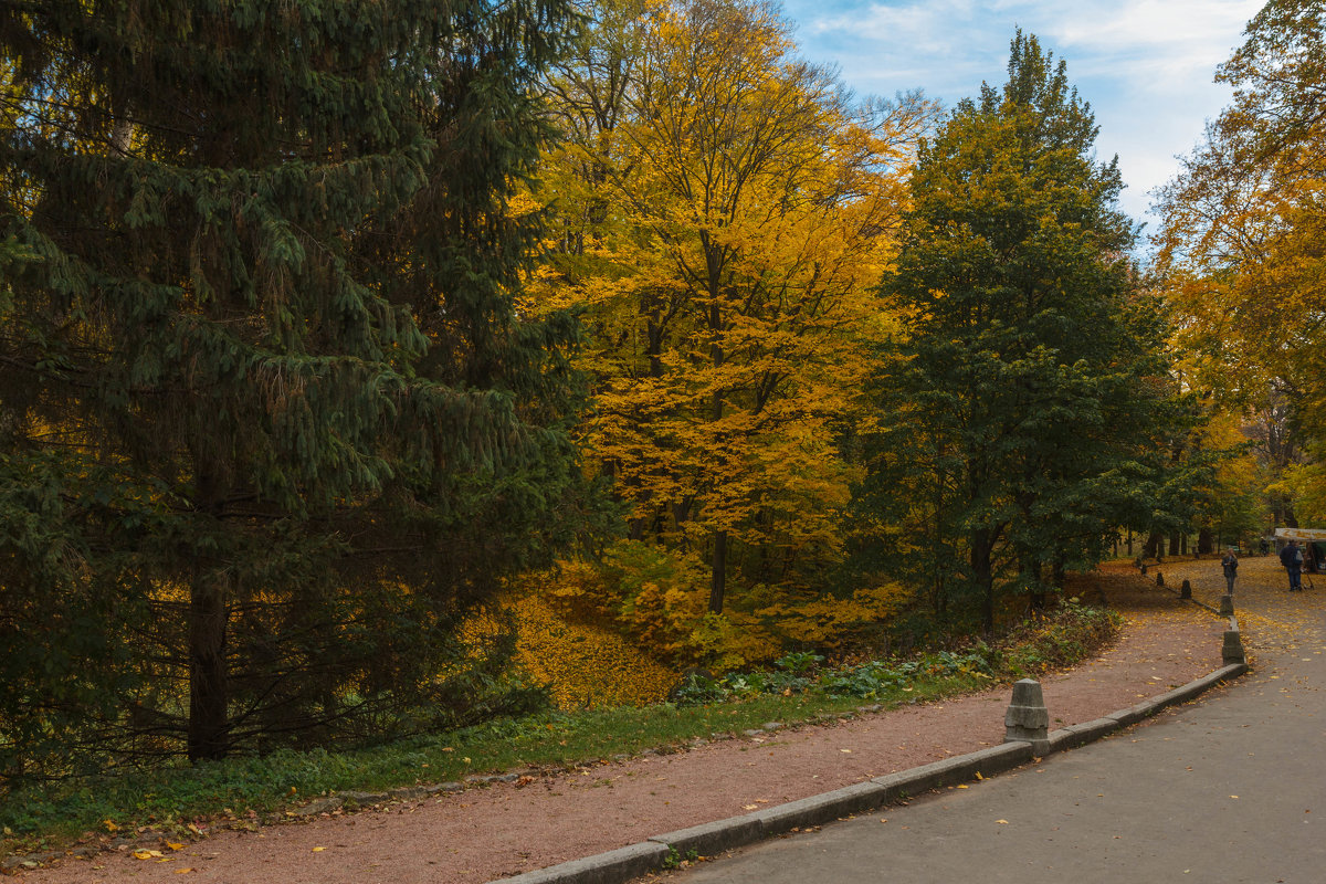 «  Осенний парк ещё прекрасен: Ковёр из листьев на земле;… » - Андрей Нибылица