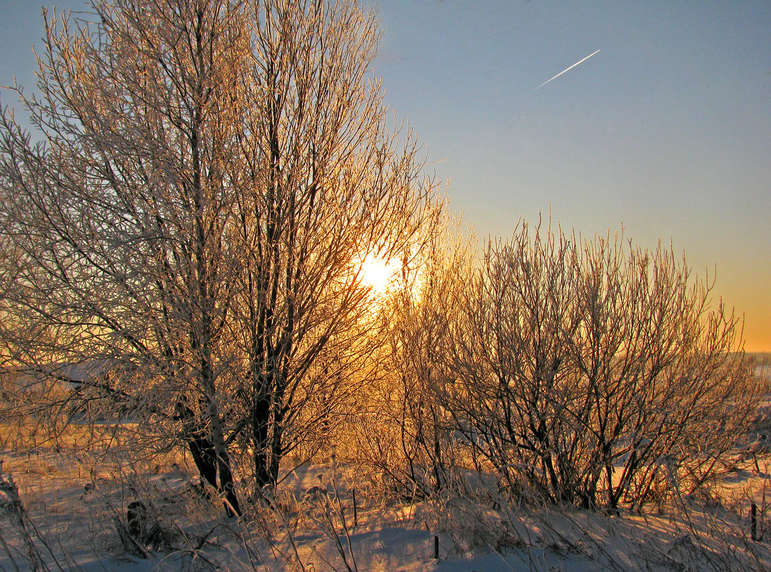 Зима и солнце. - Oleg S 