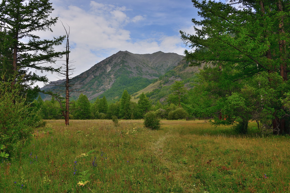 *** - Александр Хаецкий