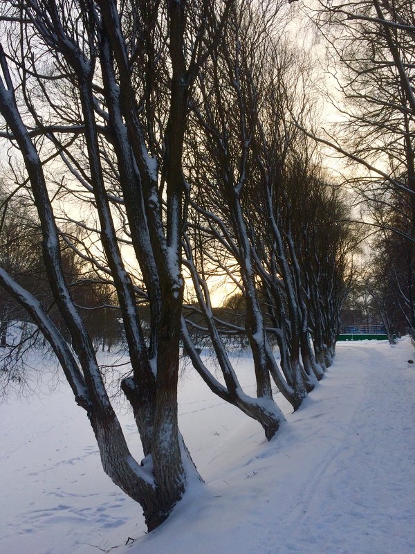 Декабрьский сюжет - Марина Лукина