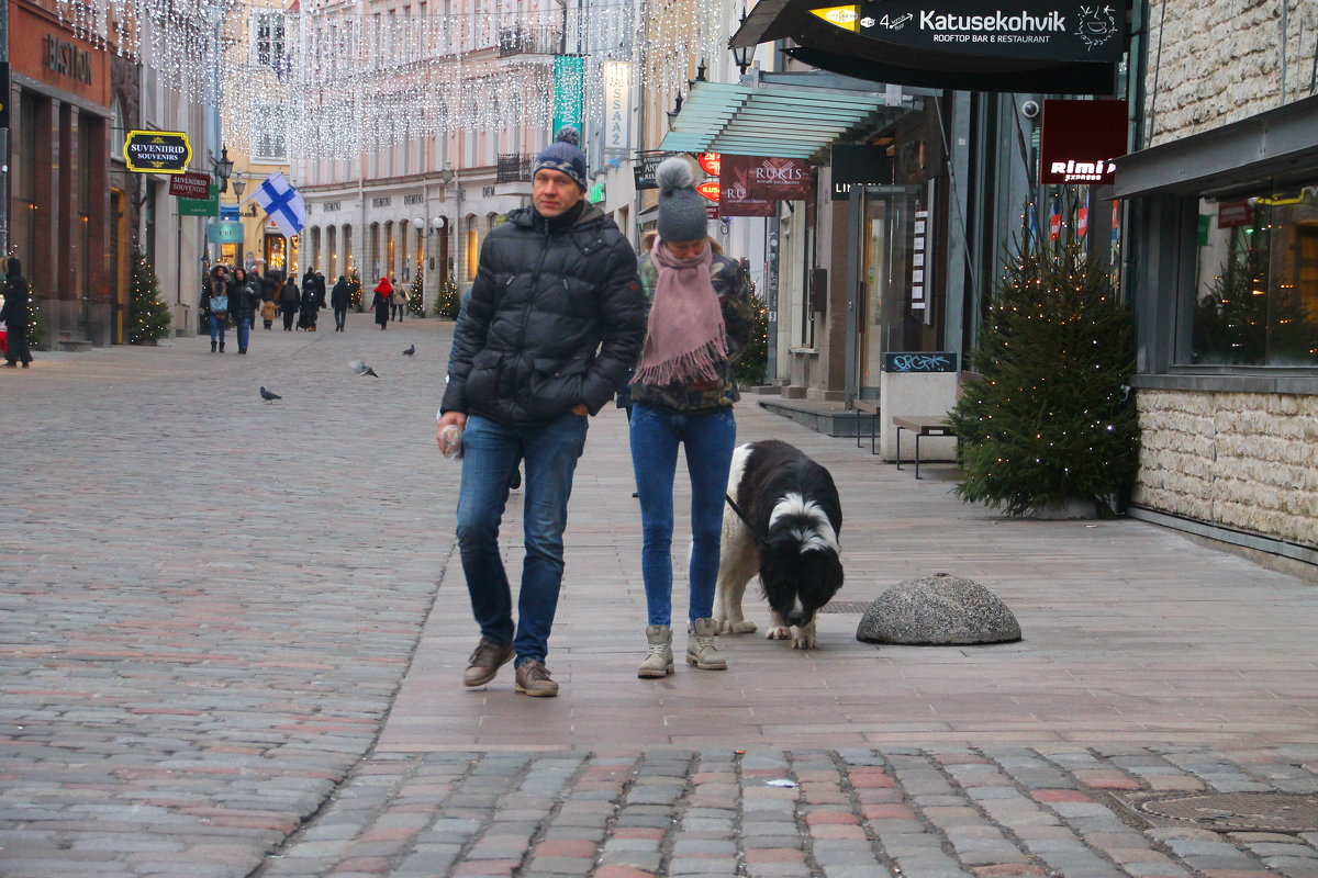 Собак по Таллину водили....как видно, Год Собачий на носу.... - Tatiana Markova