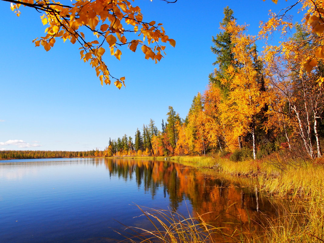 Осень на Окуневом озере - ГАЛИНА Баранова