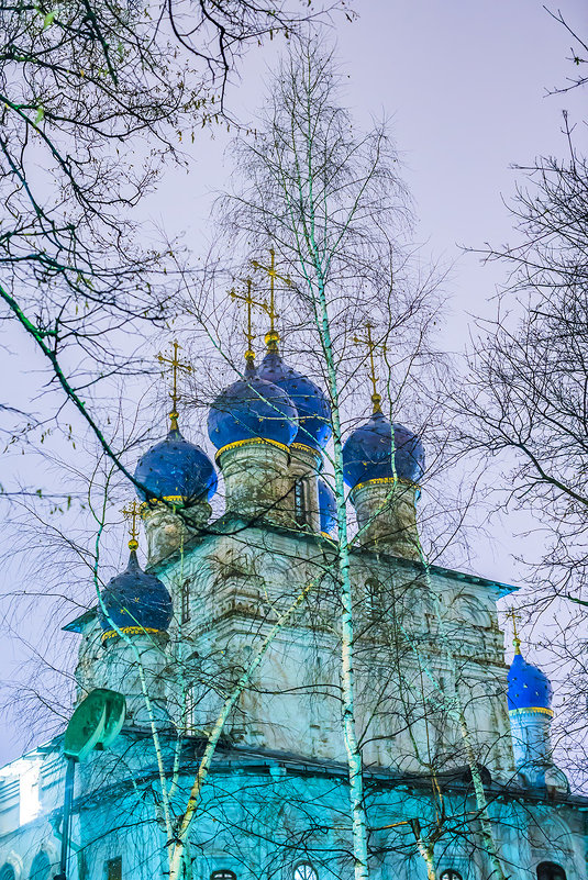 Москва. Коломенское. Перед Новым годом. - Игорь Герман