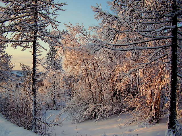 зима - ГАЛИНА Баранова