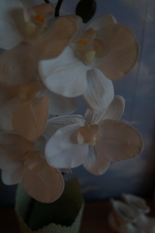 Орхидеи ... - Алёна Савина