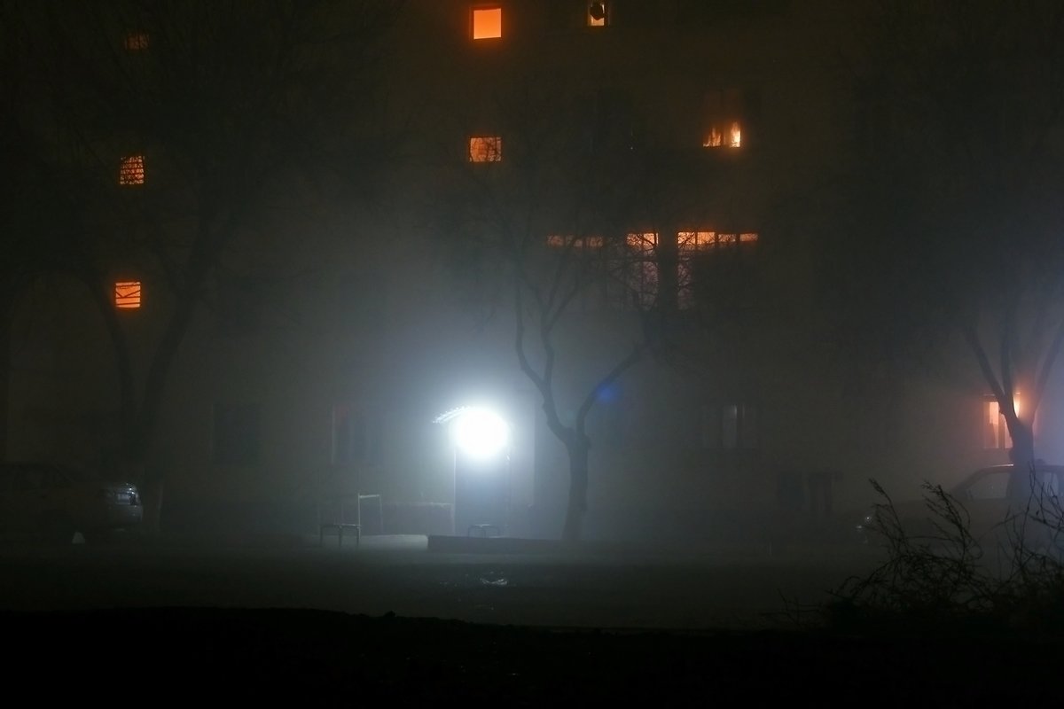 Ночь, дерево, фонарь - Юрий Захаров