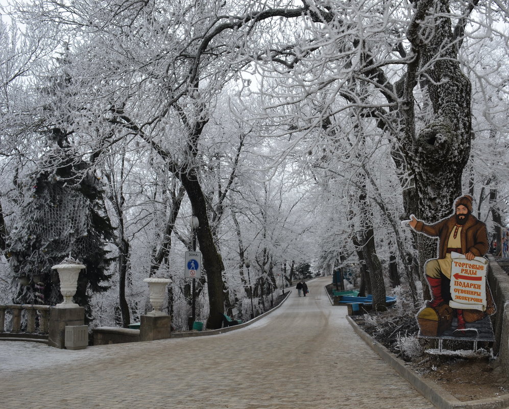 Рождественский Железноводск - Сергей 