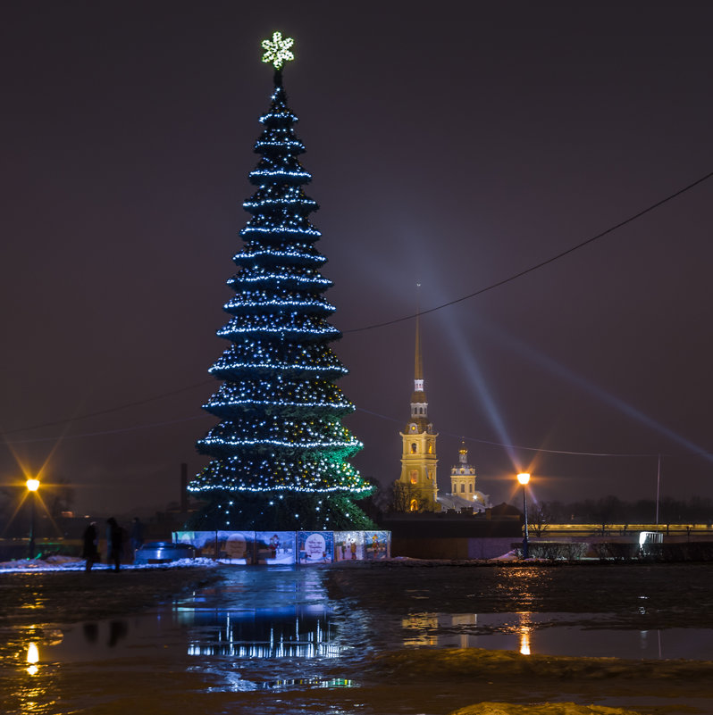 Новогодний вид на Петропавловскую крепость - Марина Ножко
