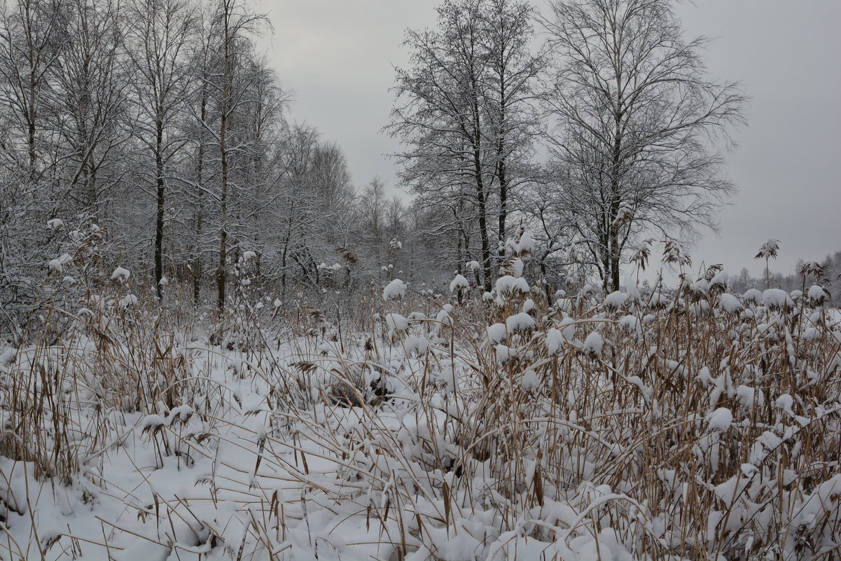Немного снега в нашем городе - Сергей Клюев