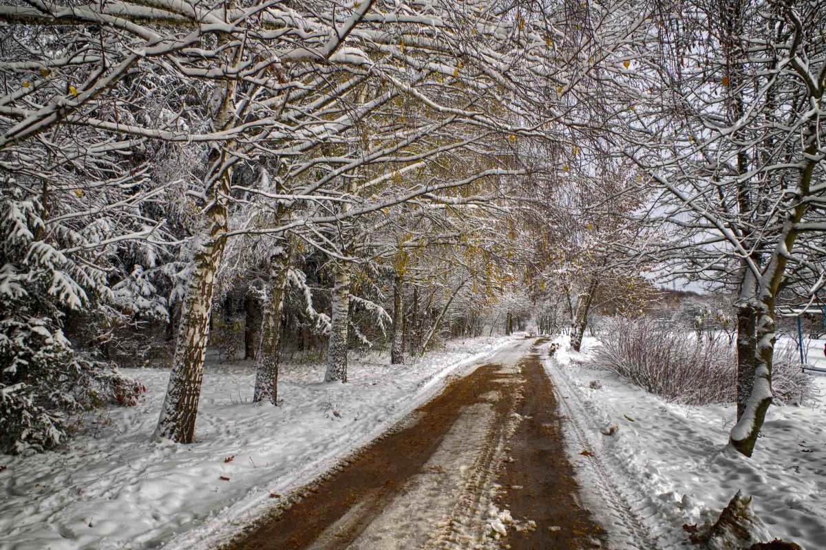 зимняя дорога - юрий иванов