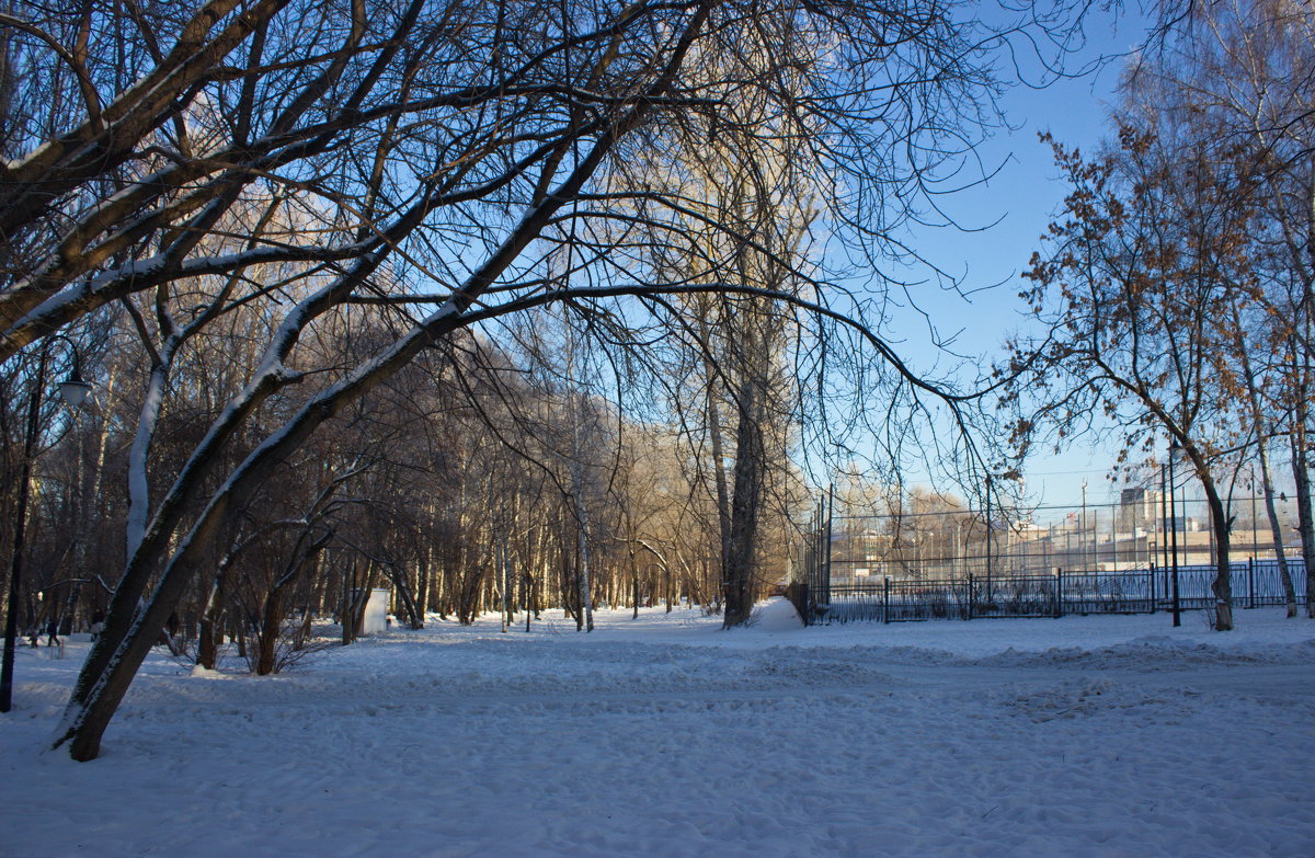 Зима в парке - val-isaew2010 Валерий Исаев