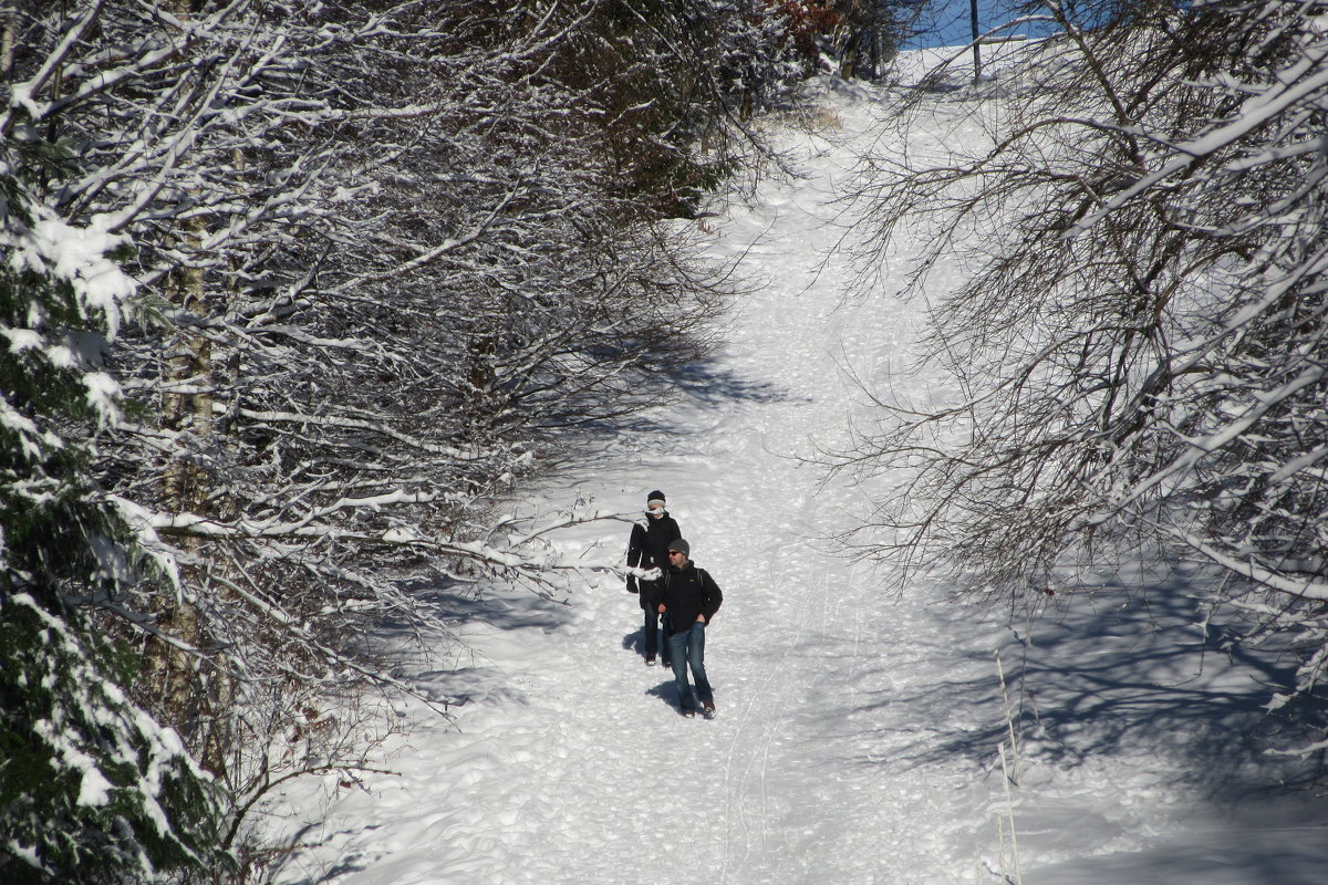 Зимняя прогулка - Mariya laimite