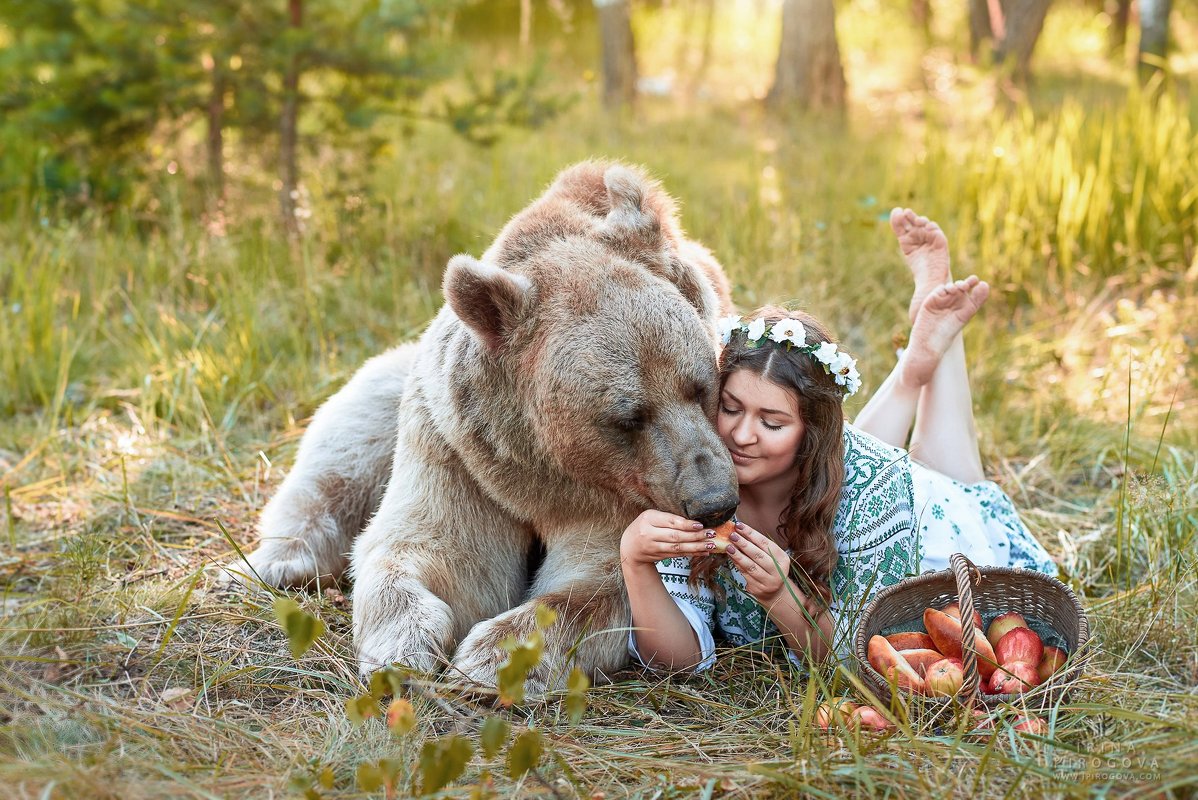 Маша и медведь - Ирина Пирогова