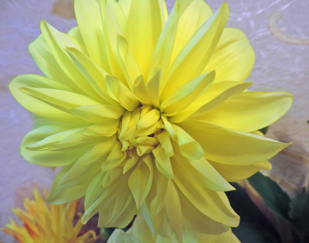Солнечный цветок - ivolga 