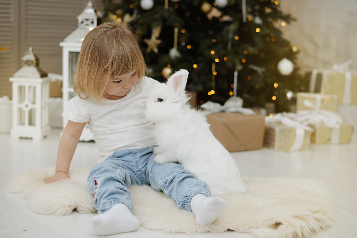 Семейная новогодняя фотосессия с кроликом - Таня Турмалин