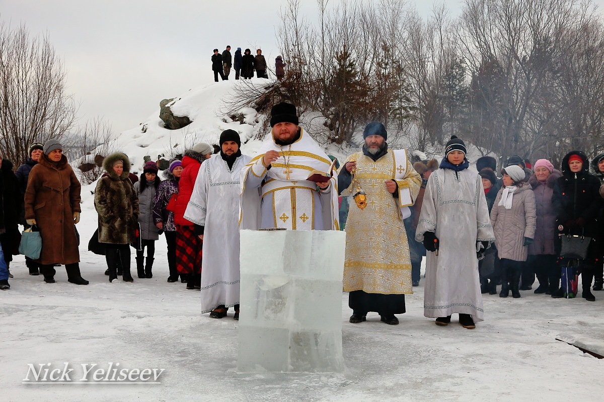 ********* - Николай Елисеев