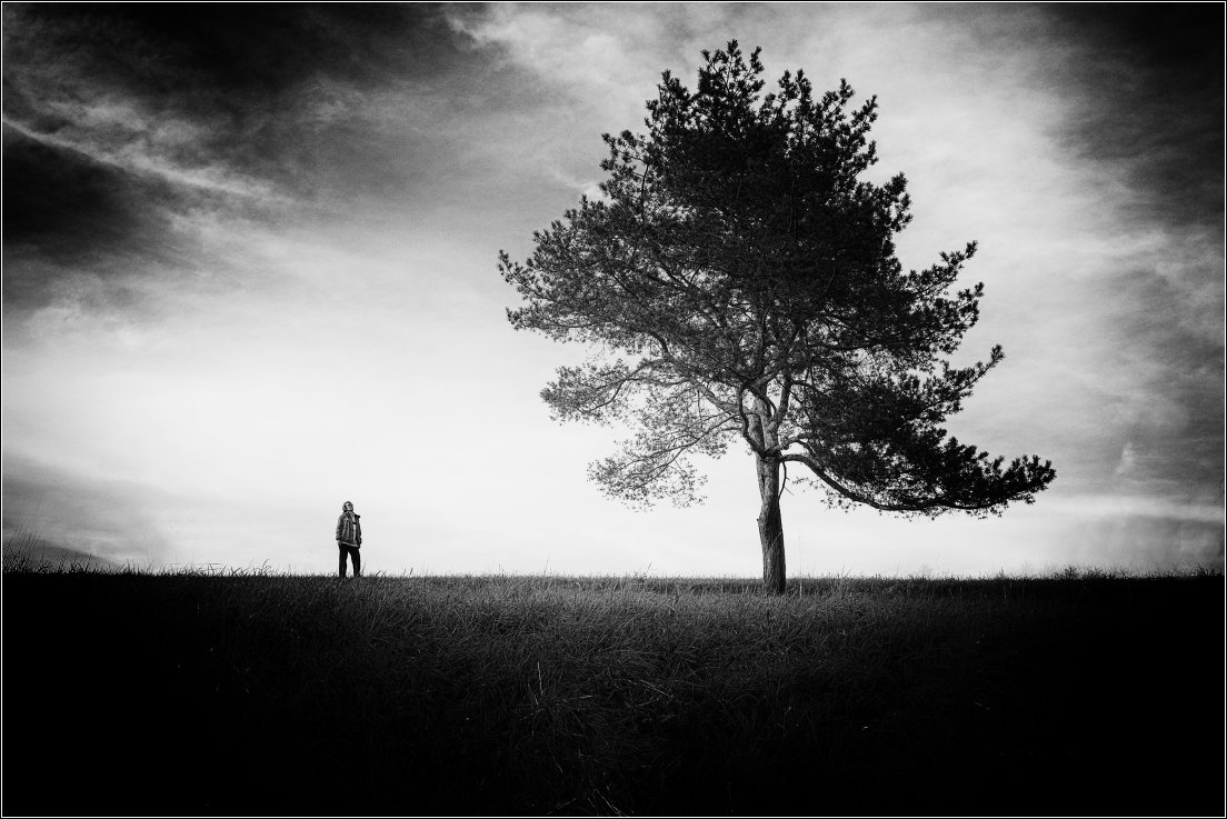 человек и дерево - Jiří Valiska